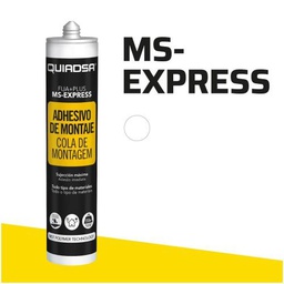 MS-Express